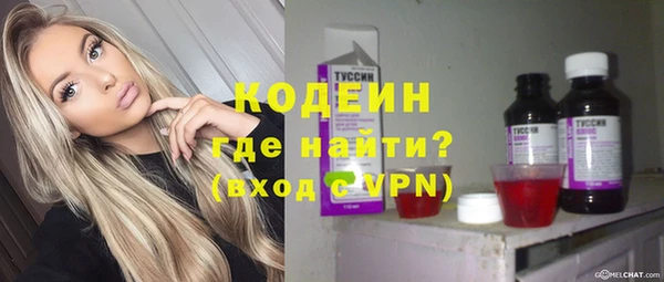 ECSTASY Алзамай