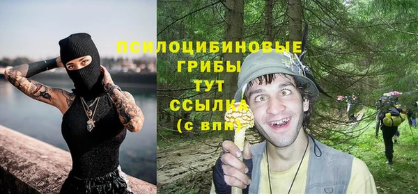 ECSTASY Алзамай